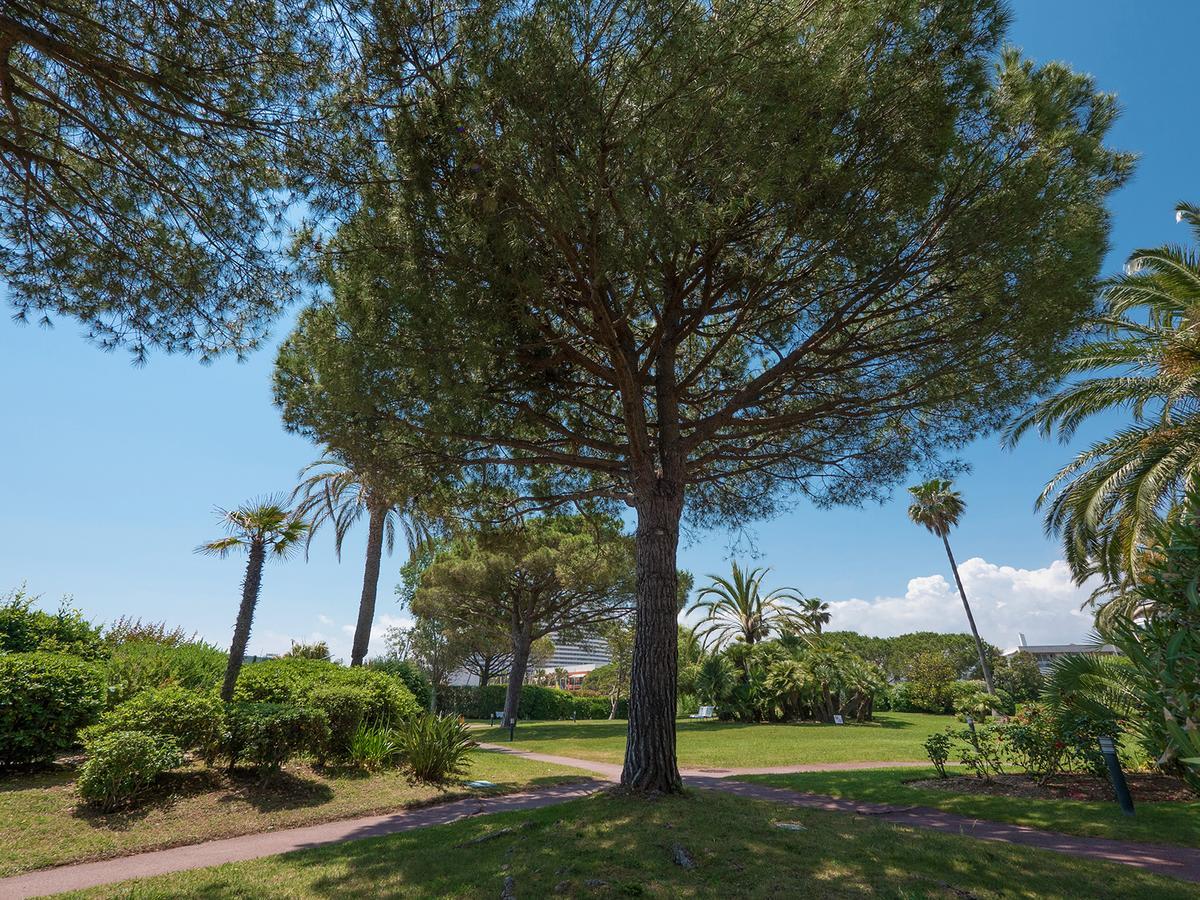 Hotel Bahia Villeneuve-Loubet Luaran gambar